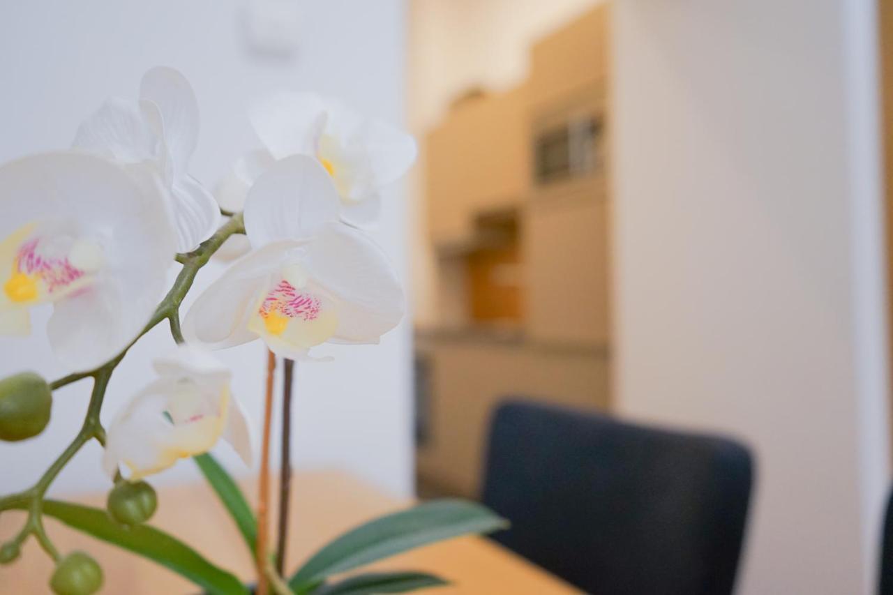 וינה Nadland Apartments B7 מראה חיצוני תמונה